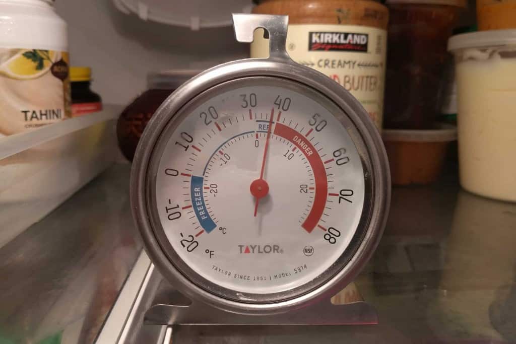 fridge thermometer