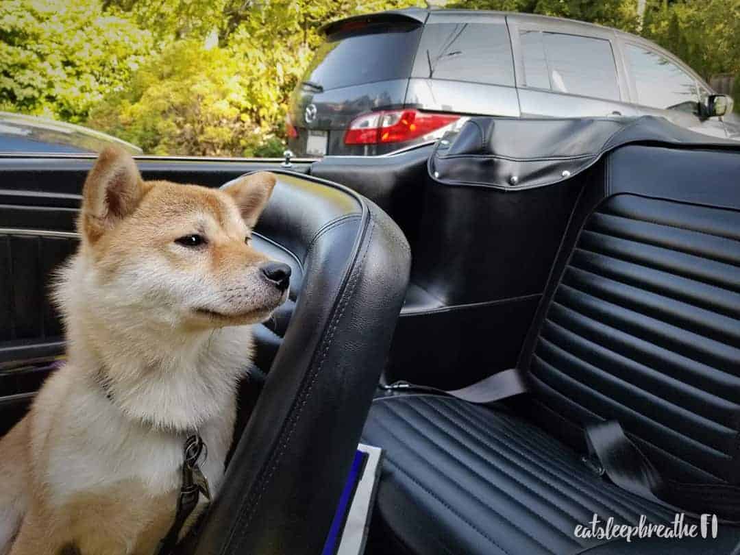 mika in the mustang