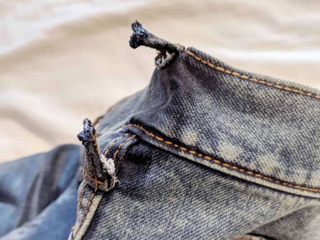 Our Shiba Inu chewed my husband's jeans