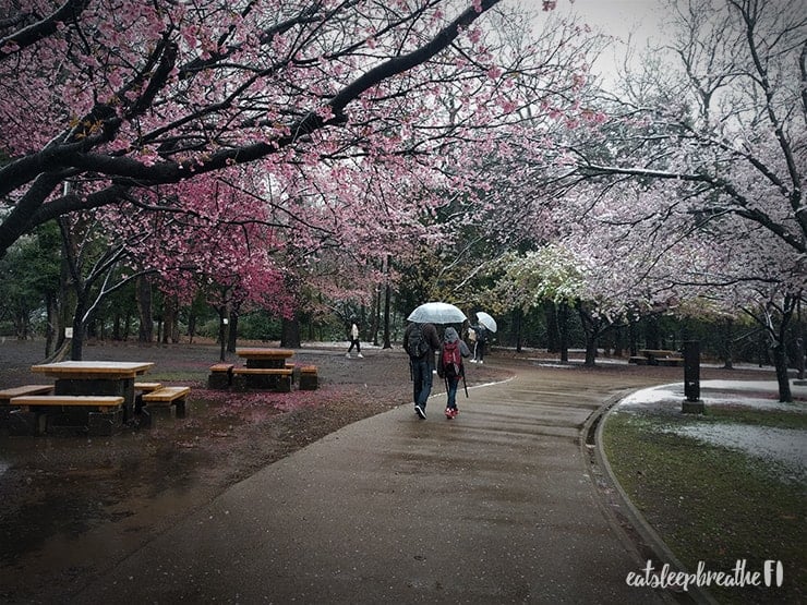 inokashira park japan